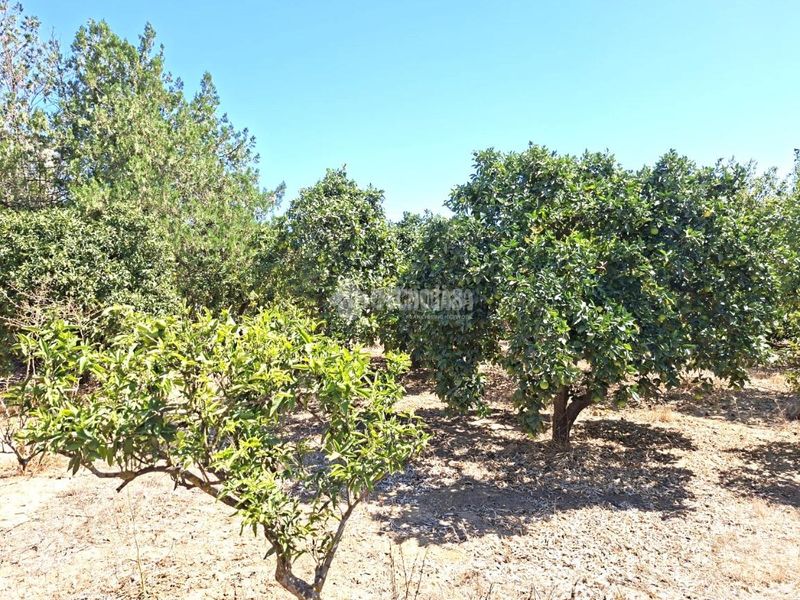 Foto a256165d-1aec-4c09-98c9-6e8b90530701. Masia a Almensilla
