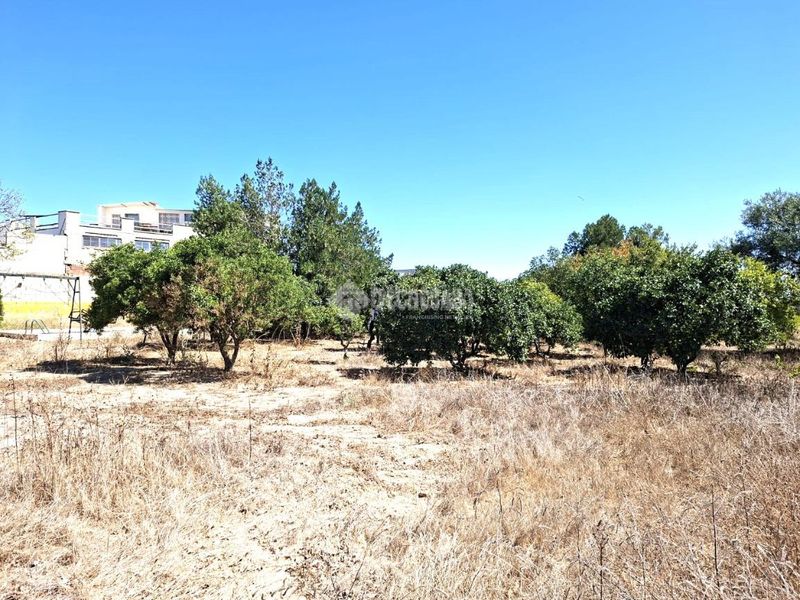 Foto ce667bfc-d7dc-412c-bc4f-93cb1438b550. Masia a Almensilla