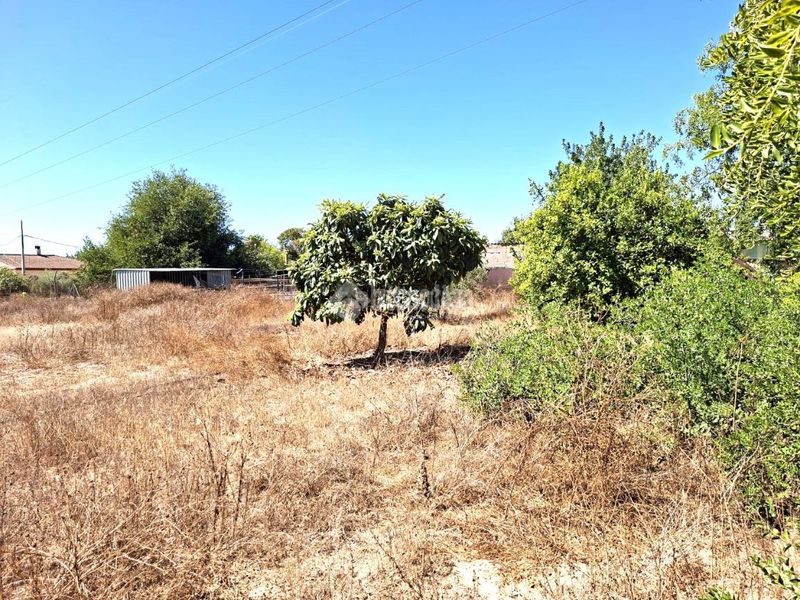 Foto dd639b91-60f4-4131-a797-71284a65ff92. Masia a Almensilla