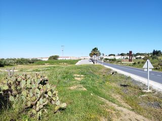 Rural plot in Severo ochoa 4