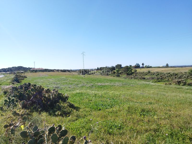 Foto cabb9c22-1d7f-43b2-b7c2-6f33a0fb0a50. Finca rústica en severo ochoa 4 en Villablanca