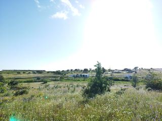 Finca rústica a Urbanizacion ue-10 14