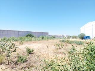 Solar industrial  Calle la sisera