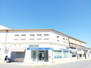 Local commercial en Avenida de las magnolias 52