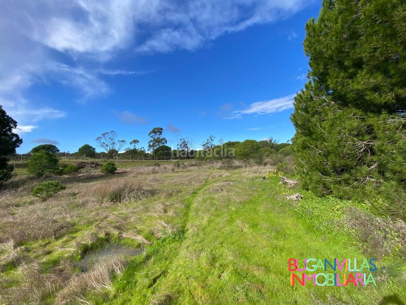 Foto 4b21a2a0-a3ce-42a2-8072-e51d4f035306. Finca rústica en n/a en Villablanca