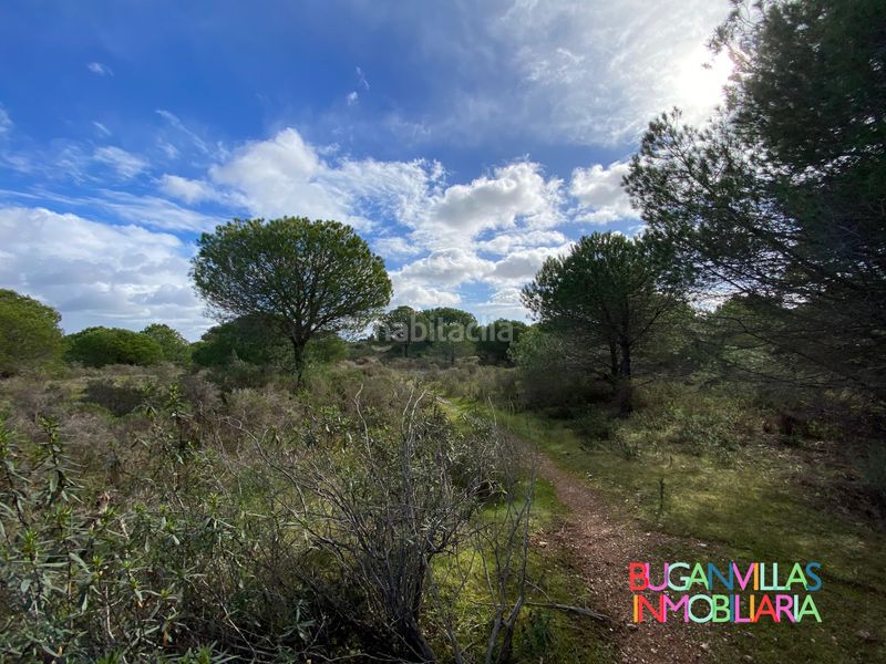 Foto 60e773a0-f55c-4d3e-9e42-335e89190c66. Finca rústica en n/a en Villablanca