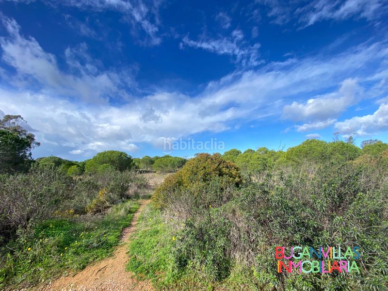 Foto cb66abd3-d57f-4161-bd81-e9561b931d20. Finca rústica en n/a en Villablanca