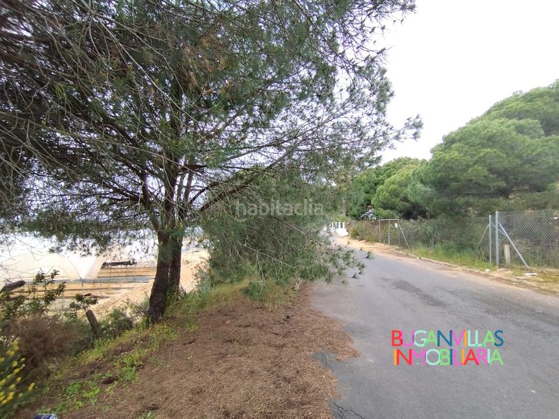 Foto 2b0bfdd4-02f8-4fa5-961b-56a68ff5b76c. Wohngrundstück in urbanización las colinas 85 in Isla Cristina