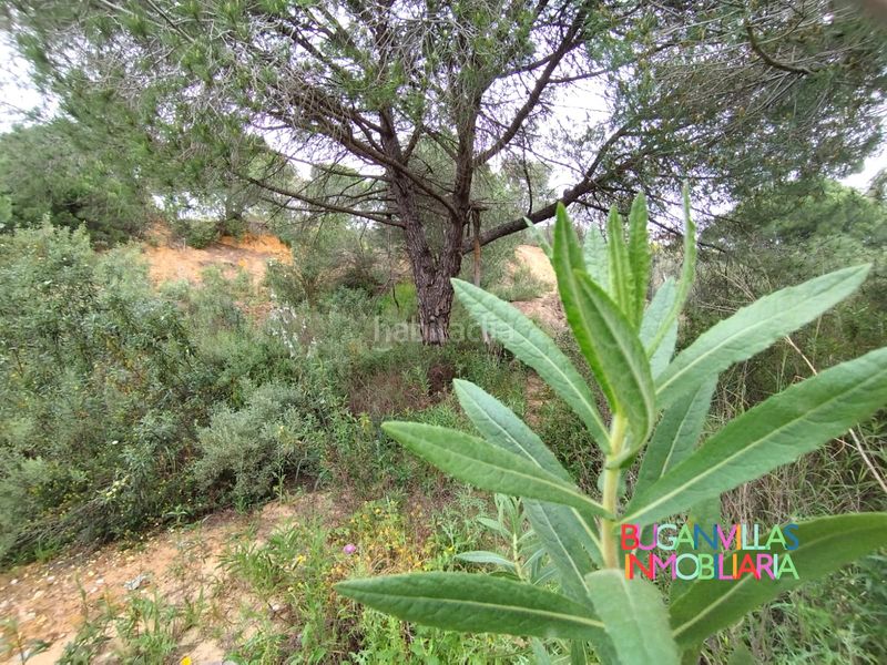 Foto 45839c78-3a48-46d7-bd66-44a72907248a. Wohngrundstück in urbanización las colinas 85 in Isla Cristina