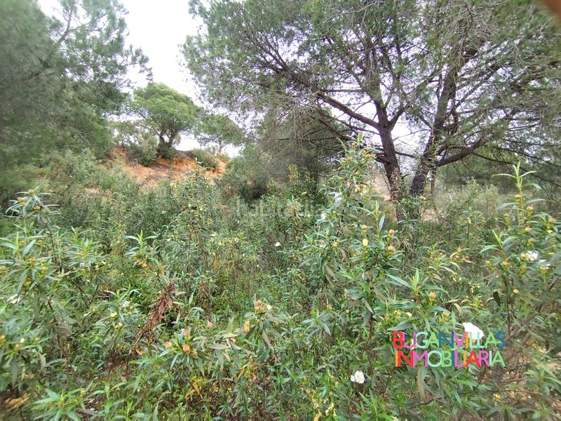 Foto c08829b7-eb20-42b6-afc6-54f908a97523. Wohngrundstück in urbanización las colinas 85 in Isla Cristina