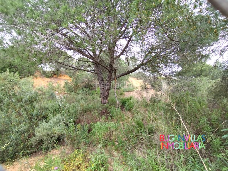Foto eee30c0a-6c41-4f42-8ef4-2c1dc607ffc9. Wohngrundstück in urbanización las colinas 85 in Isla Cristina