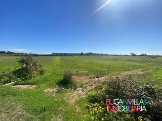 Fondo rustico in N/a