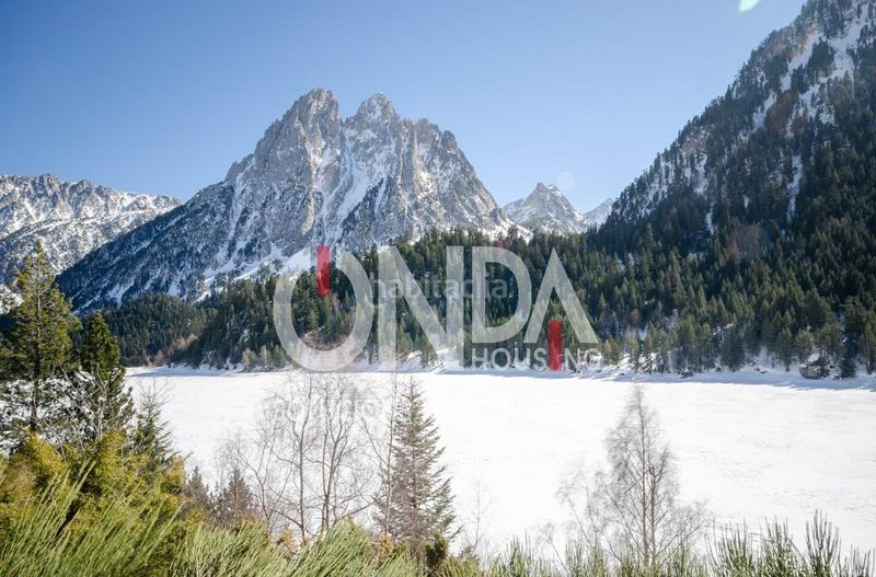 Foto 4aa4a27a-c817-41da-8c0e-712074faf11d. Masia a carrer unic arahos 46 a Alins