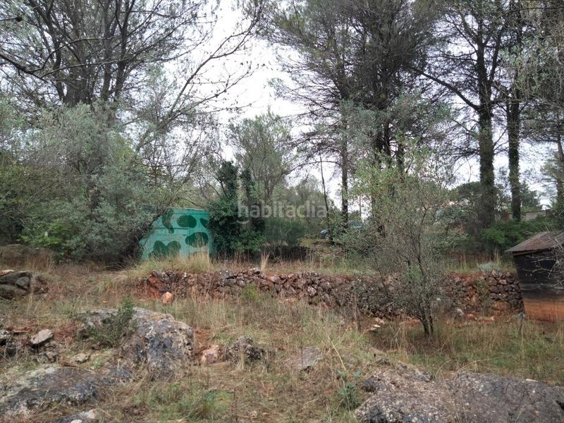 Foto aa42ce34-3a89-42e6-9cc7-fd0289609fb0. Finca rústica a Vilallonga / Villalonga