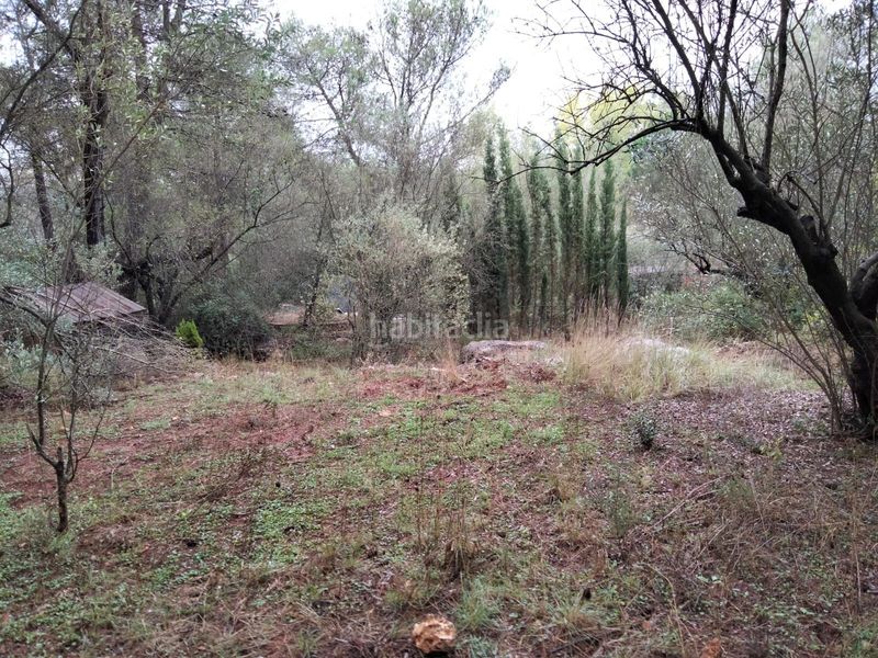 Foto da4df7d4-84ac-4755-8904-0bdaf93e0129. Finca rústica a Vilallonga / Villalonga