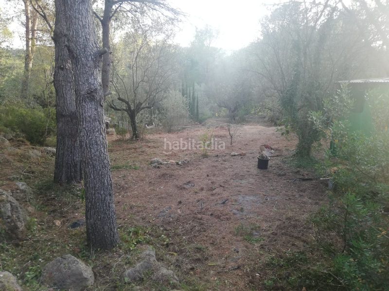 Foto dee7893b-a426-4dc8-b938-edbd29b9e287. Finca rústica a Vilallonga / Villalonga