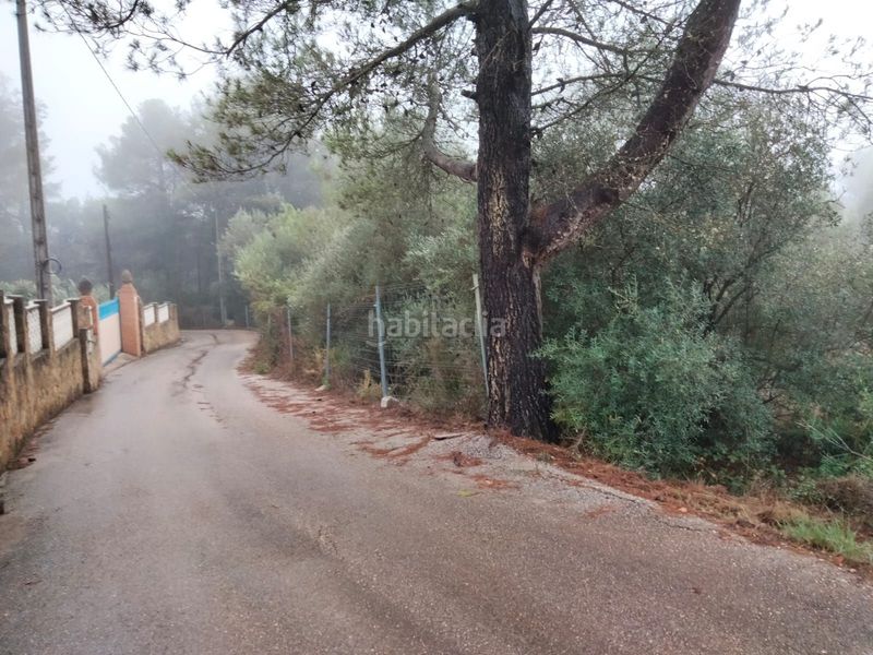 Foto ed47b7ae-8f2b-4711-b95c-de32246a197a. Finca rústica a Vilallonga / Villalonga
