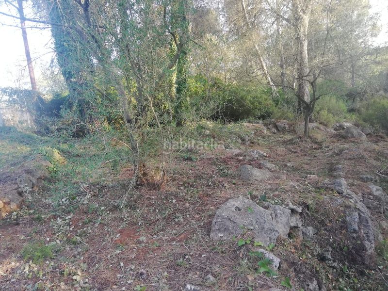 Foto f7609ae8-be7e-4914-b6d5-f0e5c35d1c2b. Finca rústica a Vilallonga / Villalonga