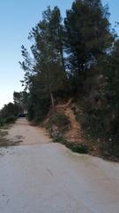 Finca rústica en Vilallonga / Villalonga. 25 hanegadas en villalonga