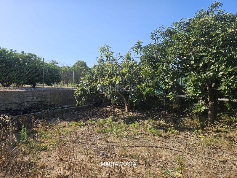 Foto 1b21f94d-bf27-46b2-89be-653c2b902485. Finca rústica a carrer de l'antigor 11 a Almoines