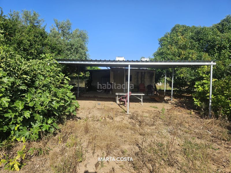 Foto f1587613-2134-4fd0-a048-2334afe23a1d. Finca rústica a carrer de l'antigor 11 a Almoines