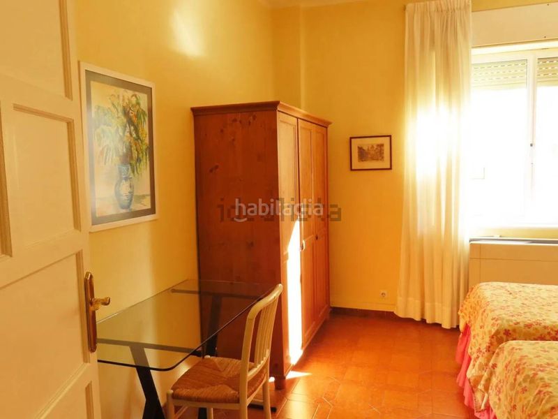 Foto 28b46b53-99b0-4be8-a9b0-8305d9e85159. Pis a Los Remedios Sevilla
