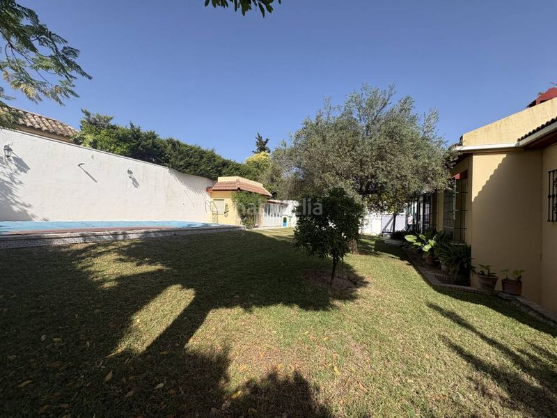 Foto d957f852-60eb-4dea-9ad4-9faf8d5374ec. Xalet amb piscina a Las Almenas Tomares