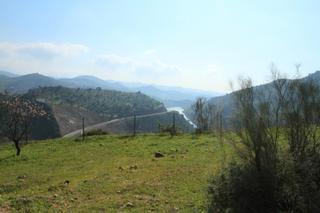Finca rústica a Almogía. Finca en carretera de almogía (málaga)
