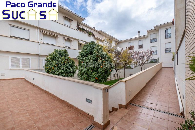 Foto 42834085-5671-4aff-89cc-2c0d343f24c4. Pis a calle de la estación de tranvías 20 a Residencial Triana - Barrio Alto Gabias (Las)