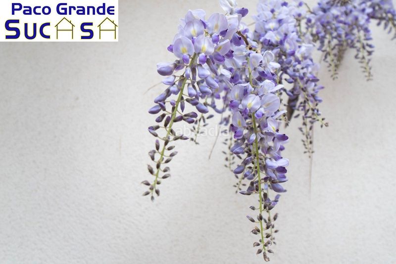Foto b3b02d8d-dcfe-4273-a936-9742b485e288. Pis a calle de la estación de tranvías 20 a Residencial Triana - Barrio Alto Gabias (Las)