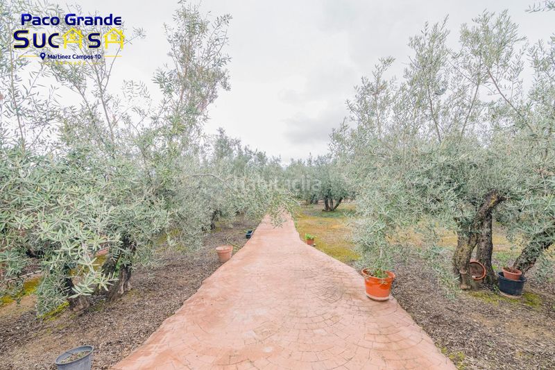 Foto 478a8c0a-a315-4dc5-8167-8af4a233da26. Finca rústica a Ogíjares