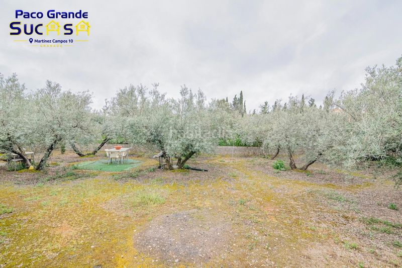 Foto 525011f7-918b-417d-b2c0-e80b1ec52e0d. Finca rústica a Ogíjares