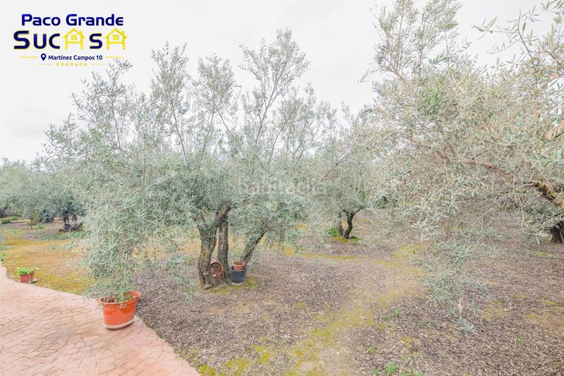 Foto 7b157249-a716-4262-a11e-1030ef78de33. Finca rústica a Ogíjares