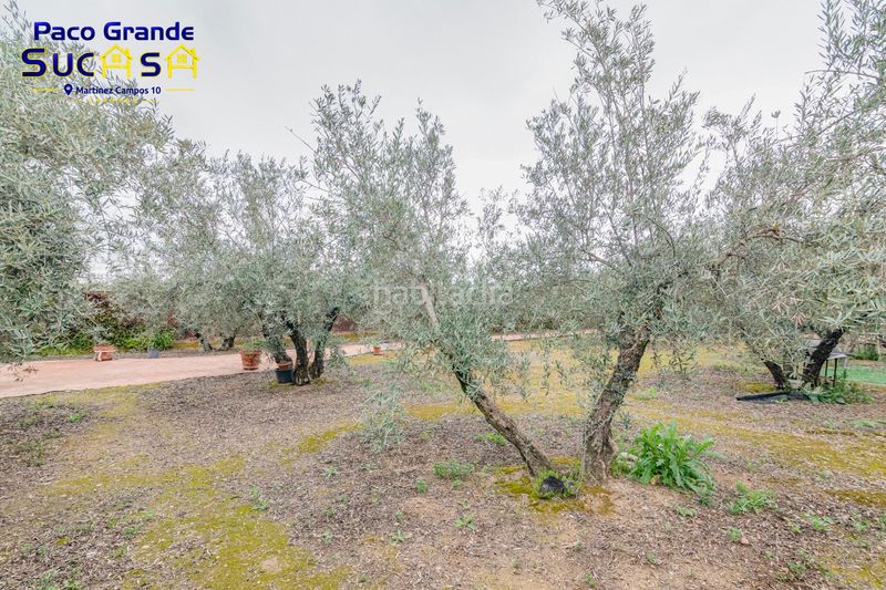 Foto 85407263-5850-4472-a5fc-a47d87f90699. Finca rústica a Ogíjares