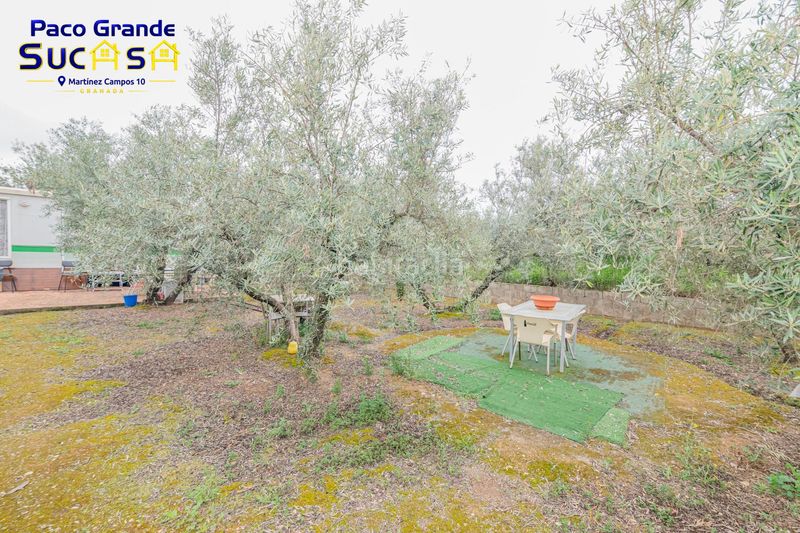 Foto cee6d9d5-9f53-4a39-93a4-7df167cf8b42. Finca rústica a Ogíjares