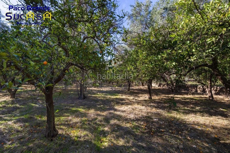 Foto 44f70022-e302-4686-9ca6-749057873c7e. Finca rústica a Lecrín