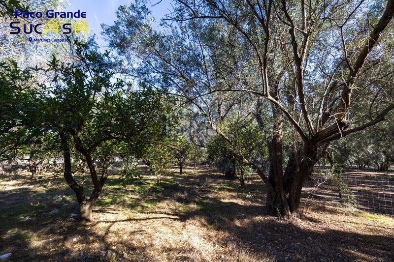 Foto 891d4e96-eeaf-4e2e-9ba9-3cff778f0546. Finca rústica a Lecrín