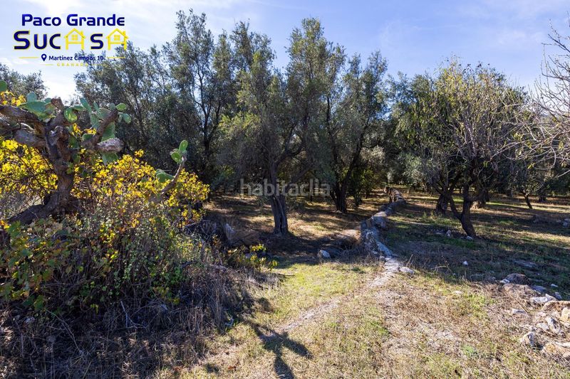 Foto e0d0b133-b1f0-4685-a6b6-c39428b21a2e. Finca rústica a Lecrín