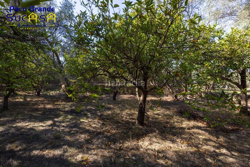 Foto e6cbc8e0-8c77-434e-97a5-79c84956b4d5. Finca rústica a Lecrín