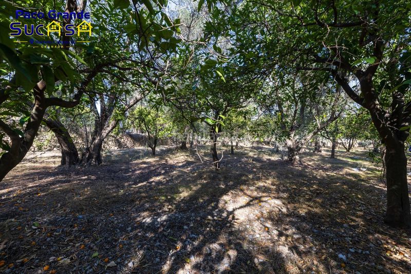 Foto fccf1e55-9731-4105-a96f-8c2347ac5741. Finca rústica a Lecrín