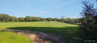 Terreny residencial  Cañada de manzanete. Terreno junto a campo de golf de monteenmedio
