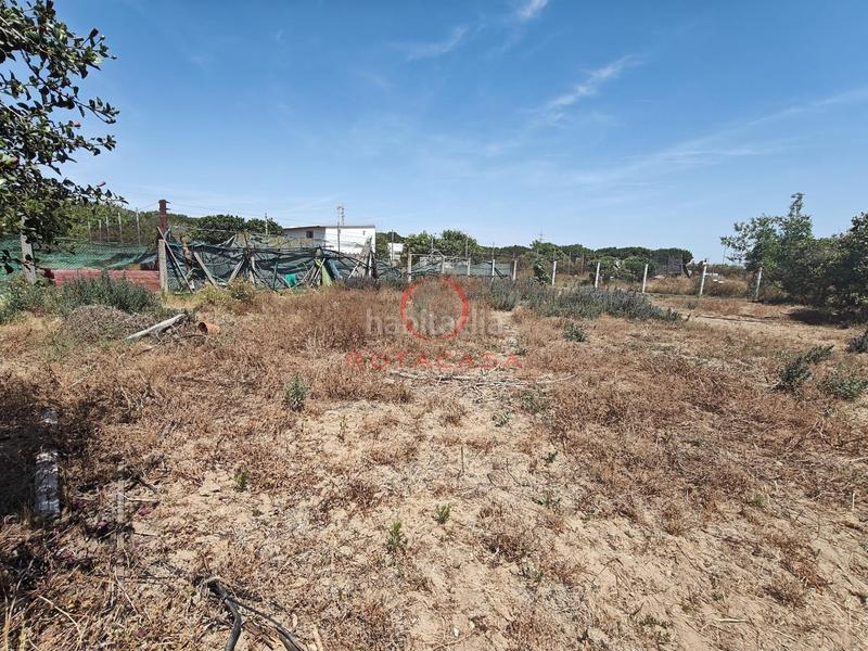 Foto 8582d755-d7ab-48fc-a754-f285a3654a91. Mas dans Aguadulce - Almadraba - Punta Candor Rota