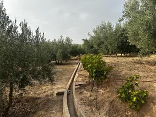 Finca rústica a Peligros