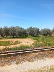 Finca rústica a Atarfe. Venta finca rustica en albolote