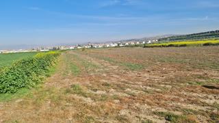 Finca rústica  Avenida de cartuja. Finca rustica en el termino de pulianas
