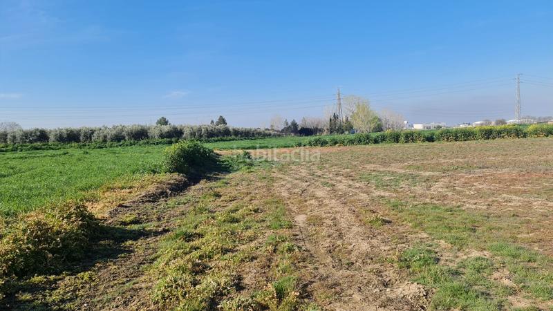 Foto a38fb918-519e-4133-a819-80d47ceaff1d. Propriété dans Pulianas