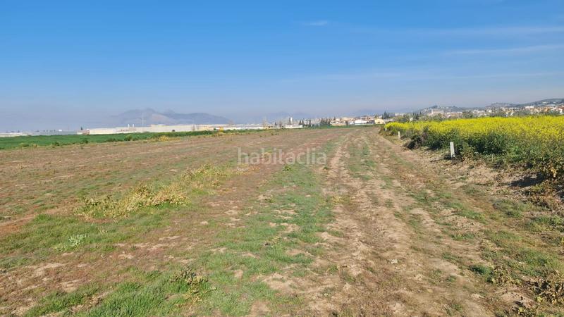 Foto cdb3402e-4c54-4e7e-b627-38c8650e8b3f. Propriété dans Pulianas