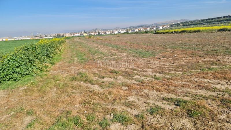 Foto d3809ea3-9d13-4ffd-a294-b7fde6a42877. Propriété dans Pulianas