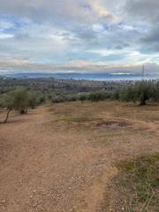 Finca rústica en Albolote. Finca rustica termino peligros