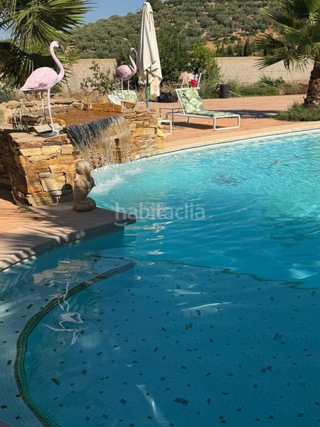 Foto ceec1f72-8558-4cf4-a465-14c79b53d49a. Finca rústica a Cogollos de la Vega